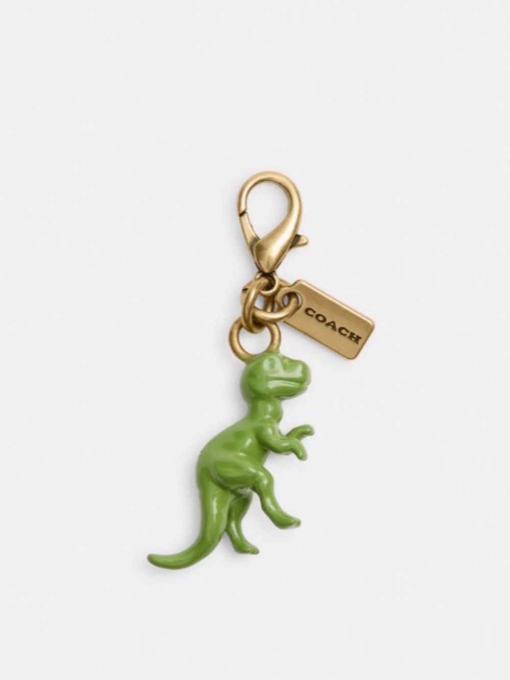 Coach Mini Dinosaur DIY Charm CCX73 Authentic NWT NEW
